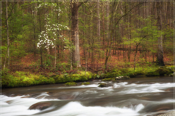 Little River