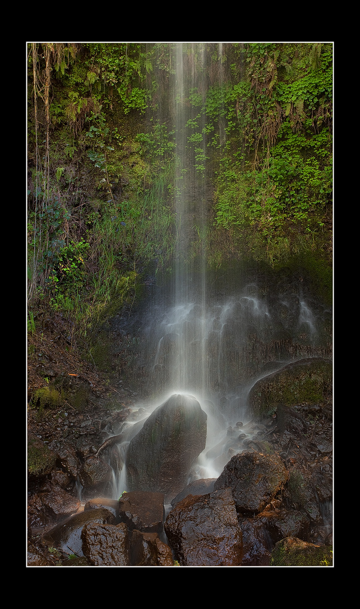 In The Gorge