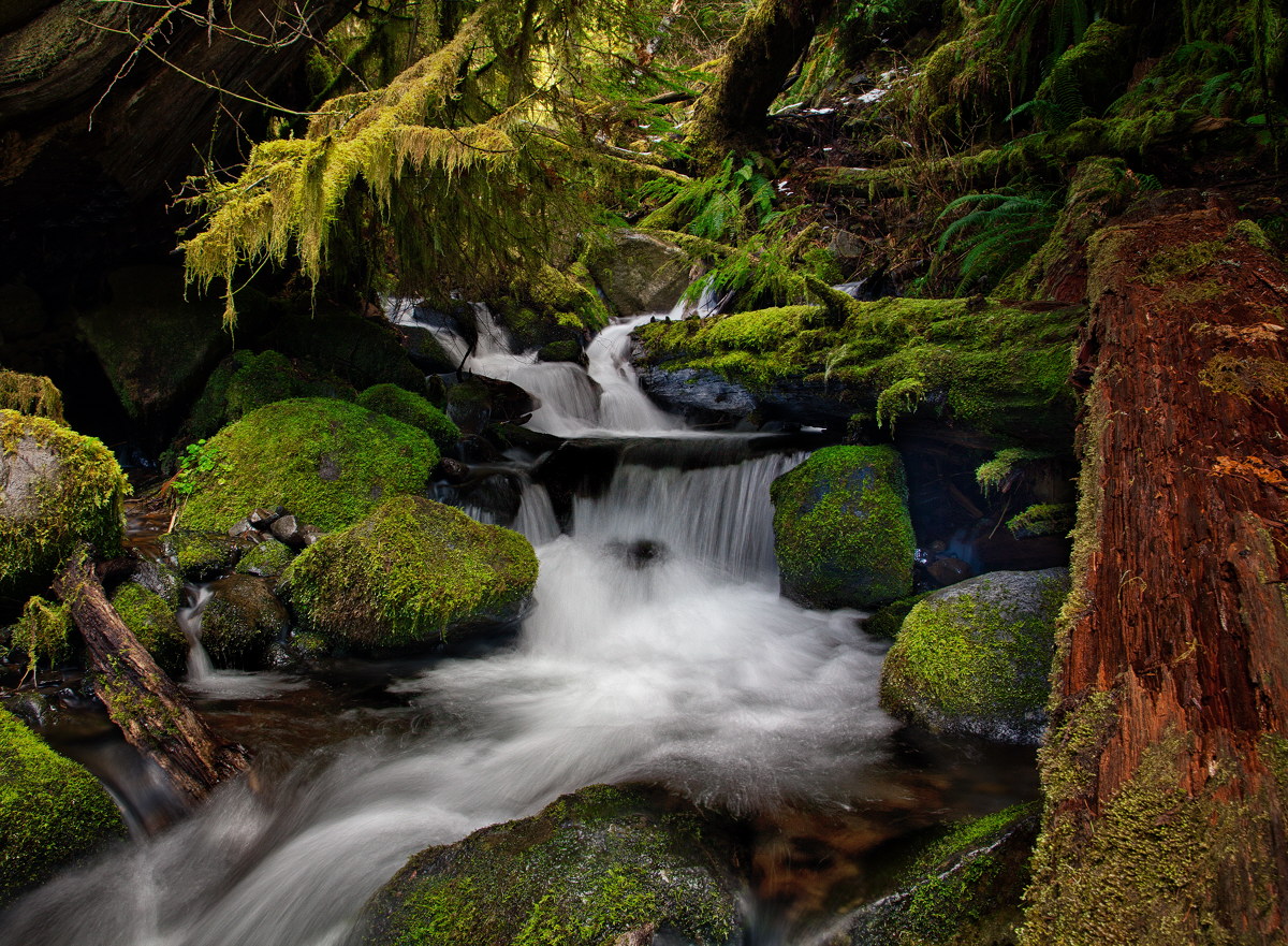 Along Eagle Creek Trail