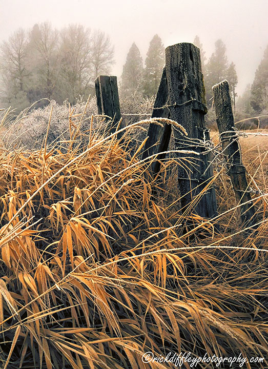 Frosted Fense Post