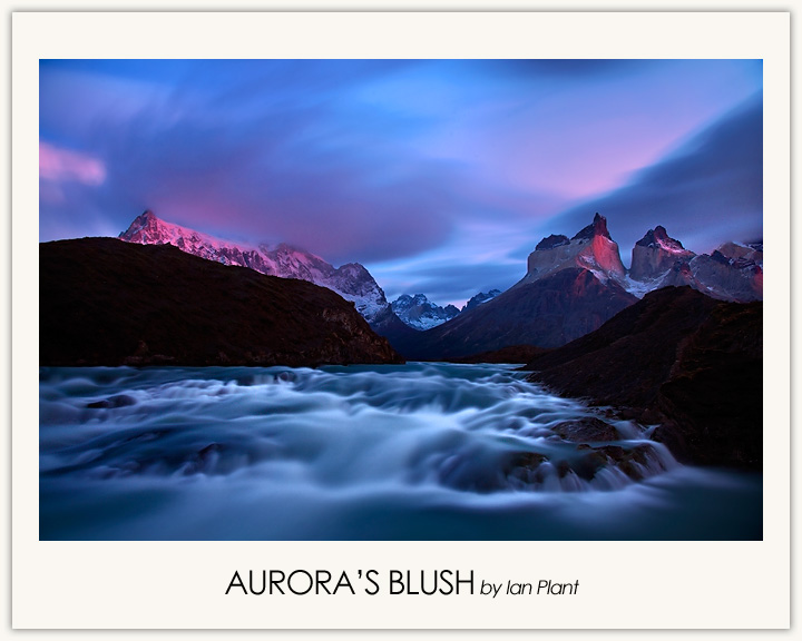 Aurora's Blush