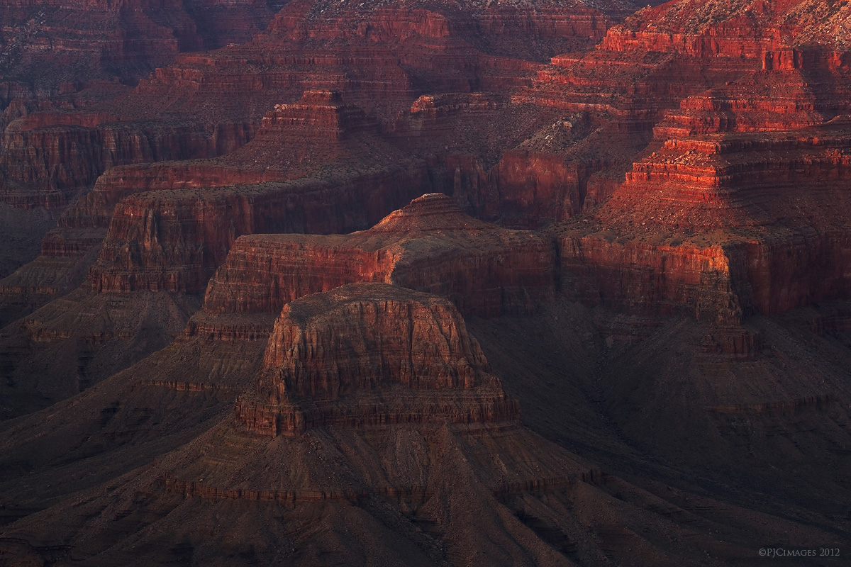 Canyon reds