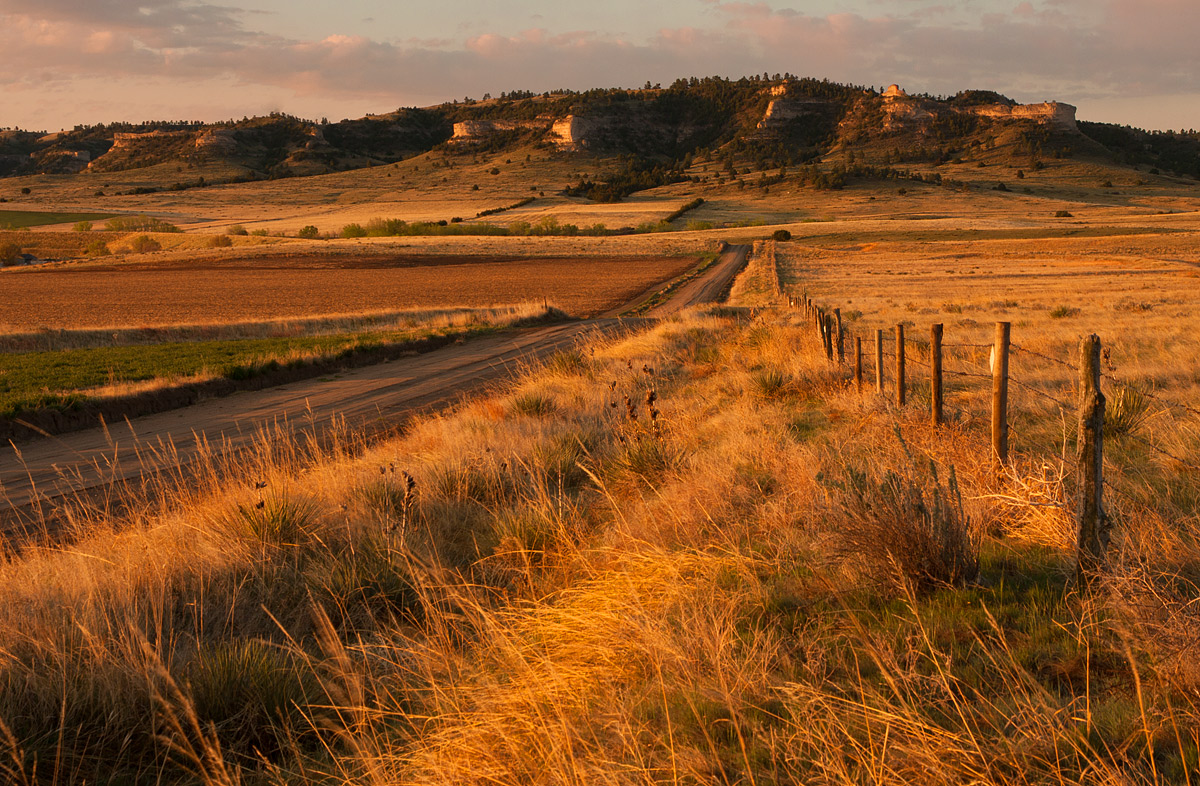 Early Morning Country