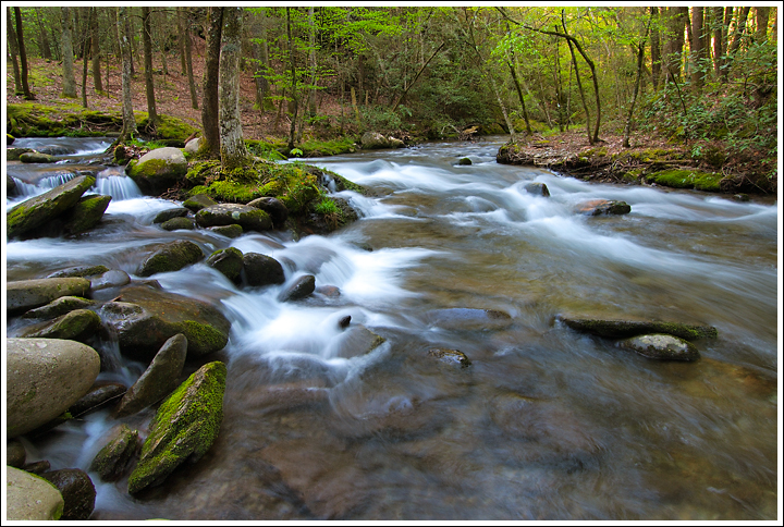Laurel Creek Confluence