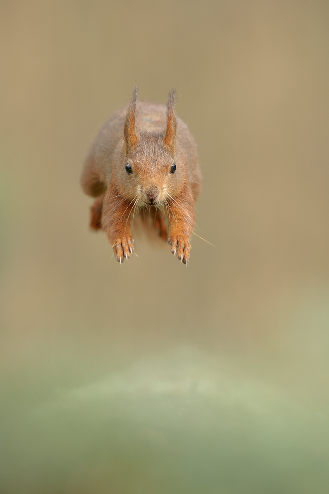Incoming!!!