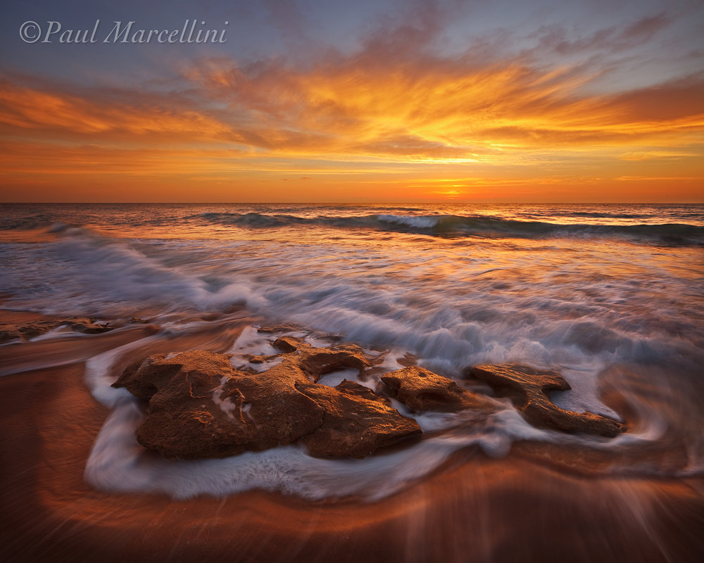 Washington Oaks Alight