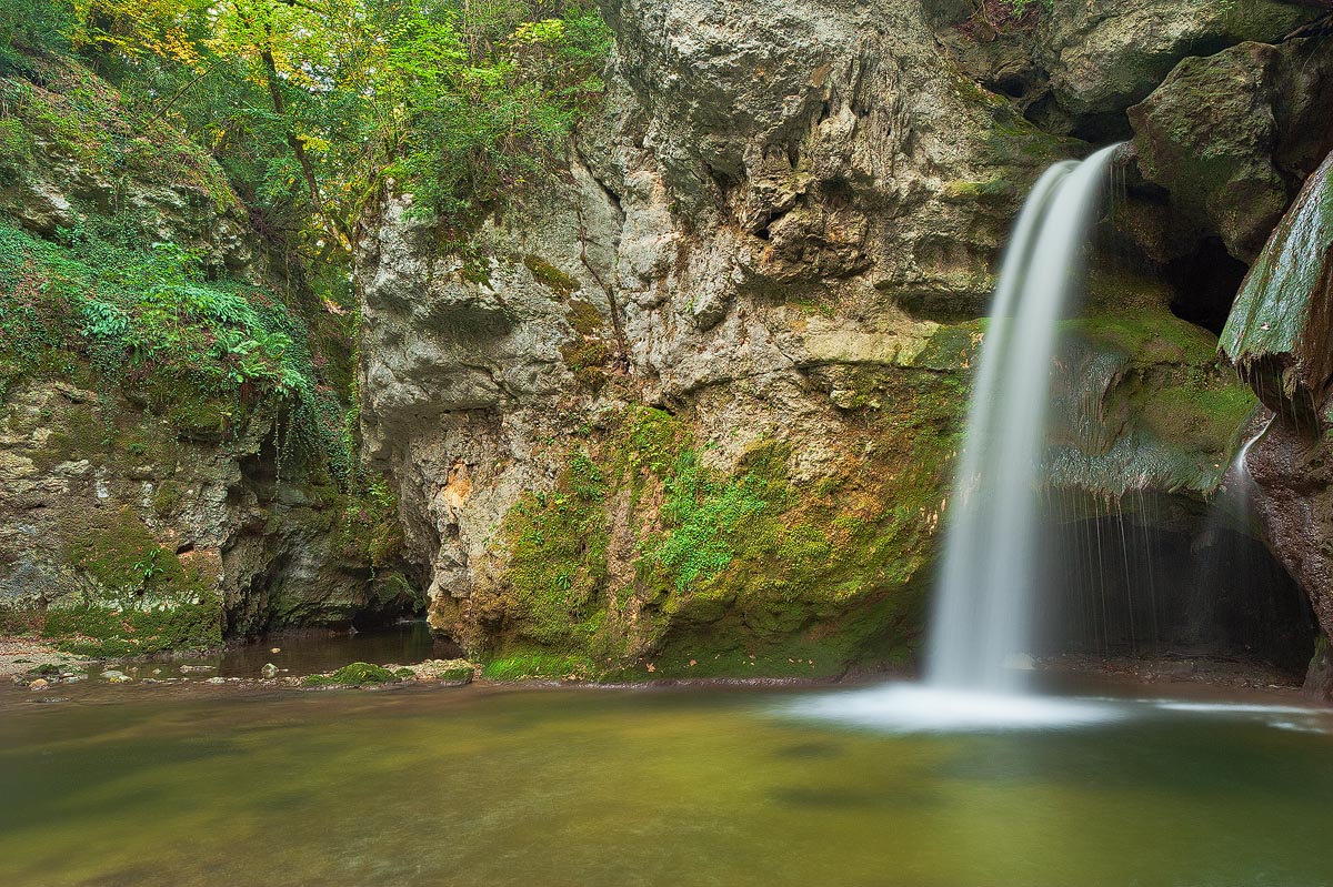 Tine de Conflens