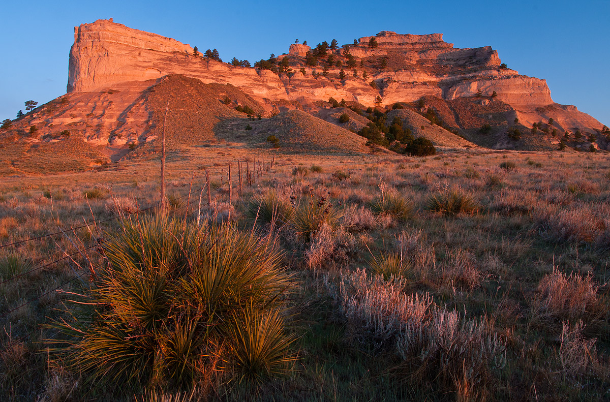 Fence to Butte