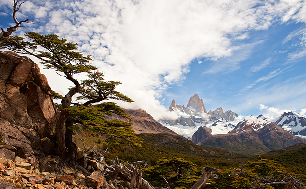 Fitz Roy Vista