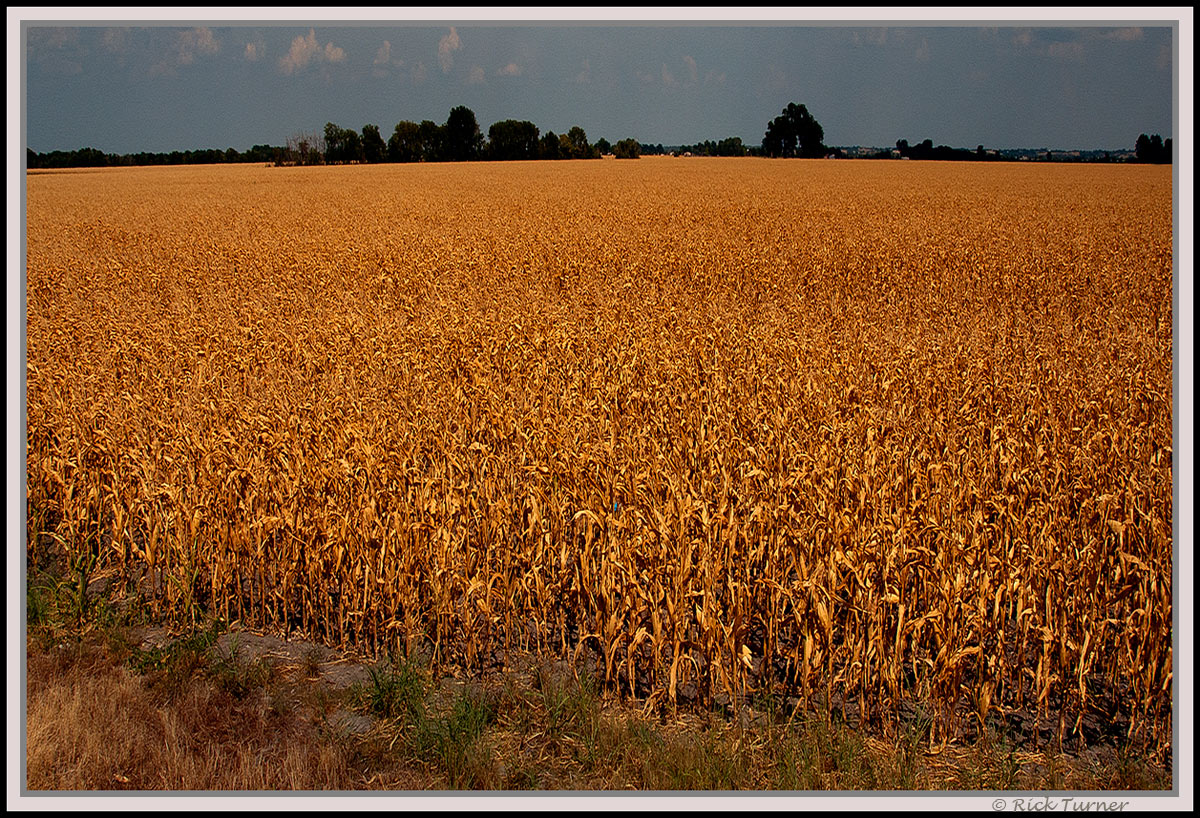 Summer of 2011
