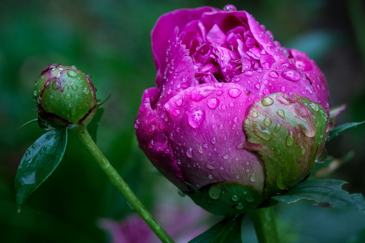 Rainy Saturday