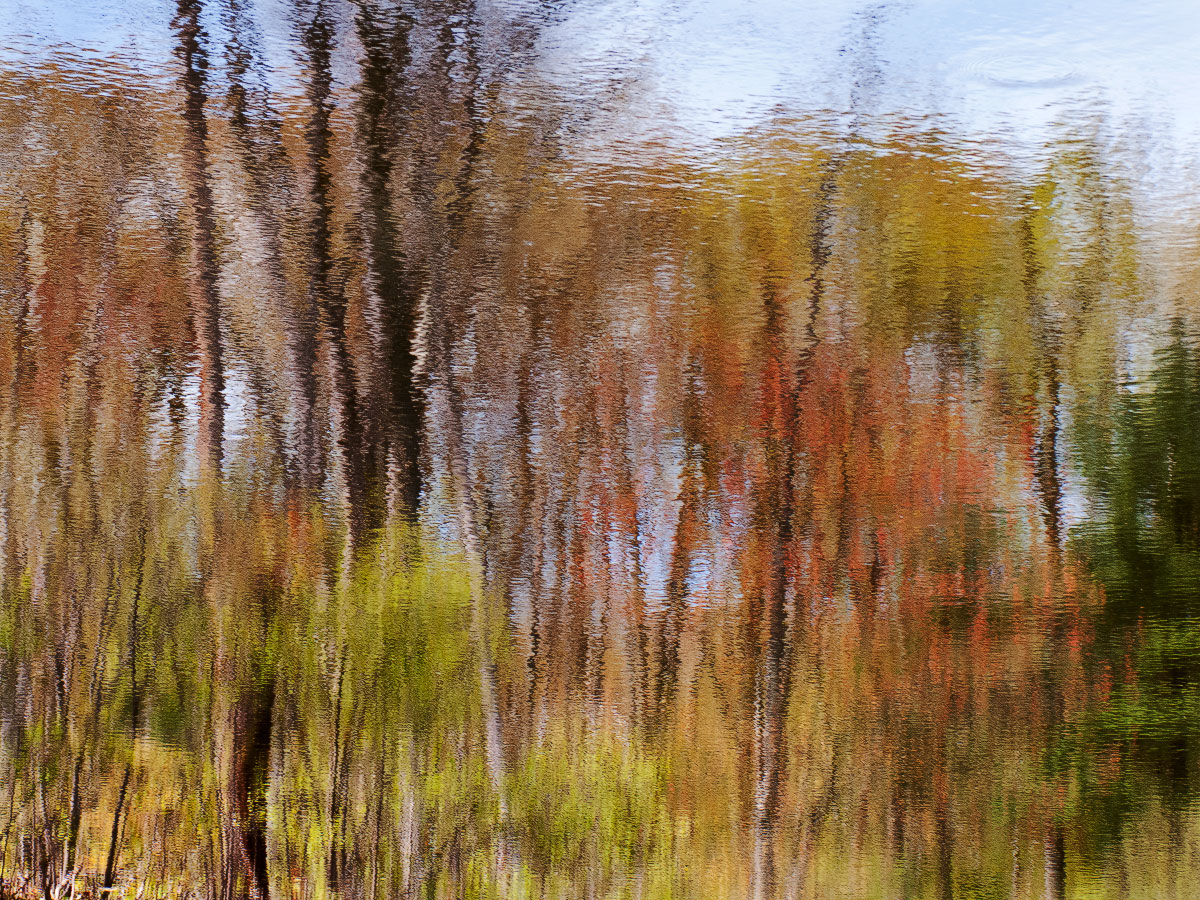 Pond Abstract