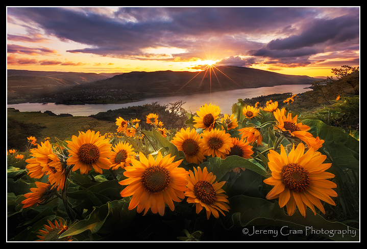 Rowena Morning...