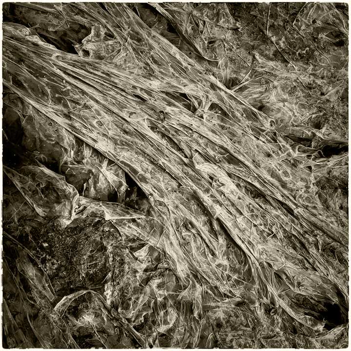 Organic Films