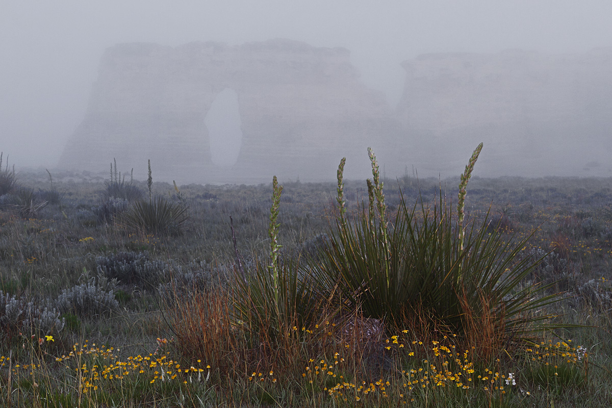 Monument Rocks - Fog