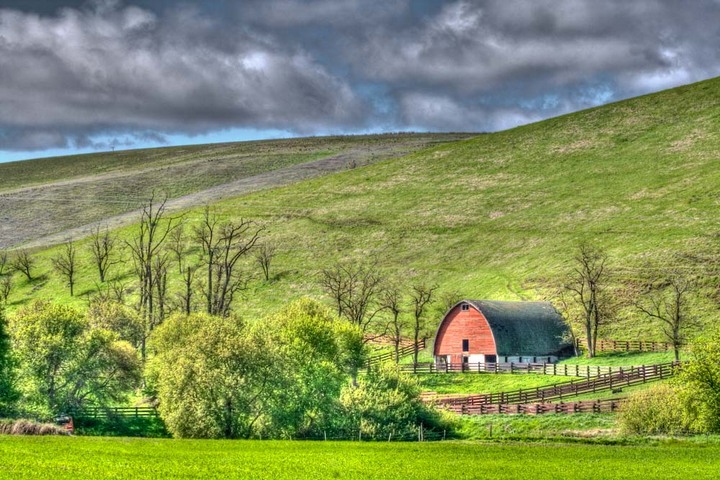 Painterly barn