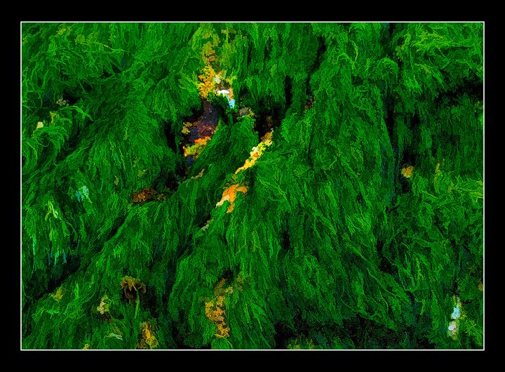 Green Stuff &Color Stuff