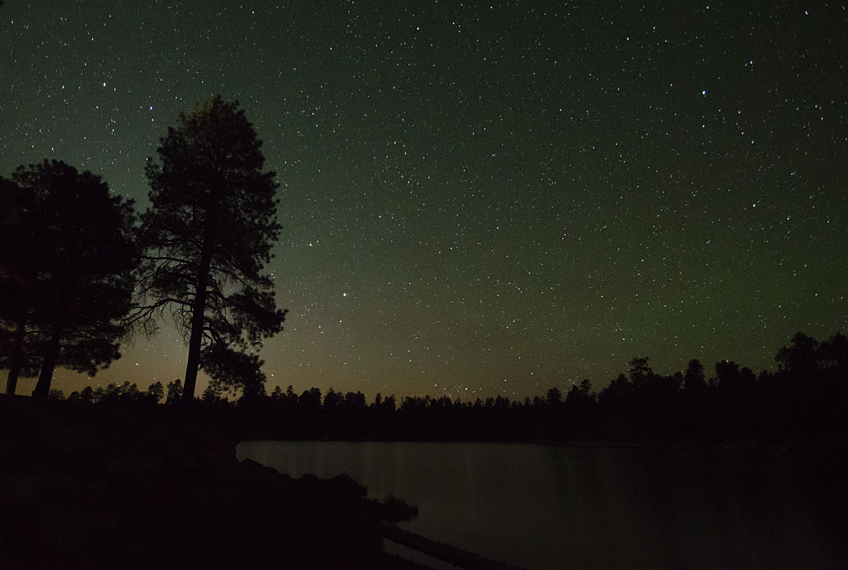 Forest Lake by Starlight