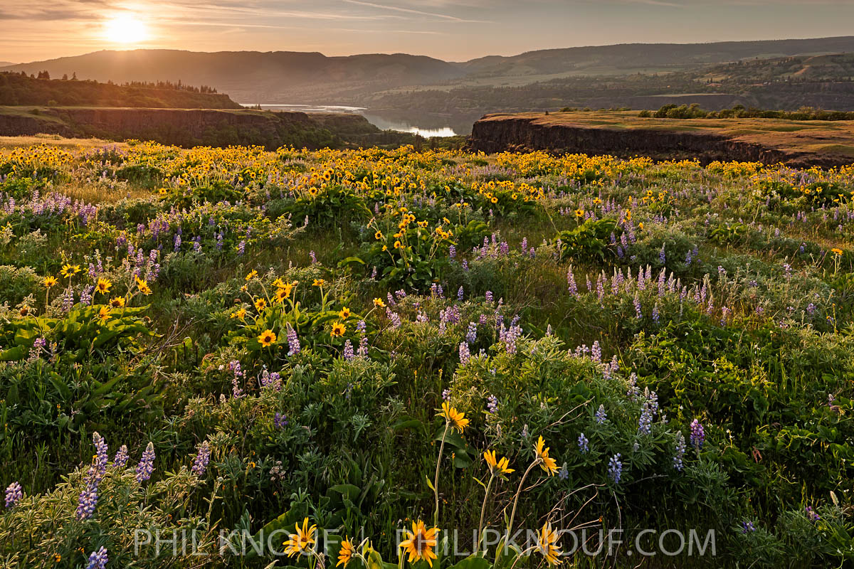 Rowena Sunset