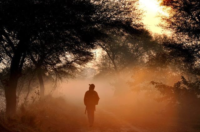 A Misty Morning