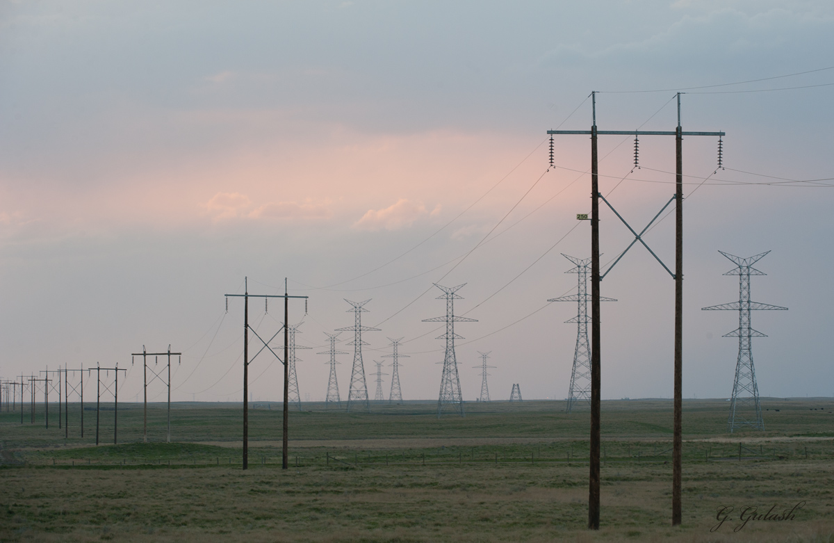 Wind in the Wires