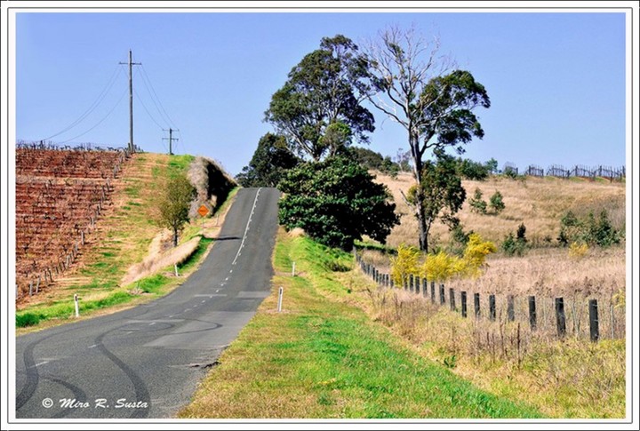 Fence along the Road