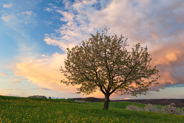 Spring in Switzerland