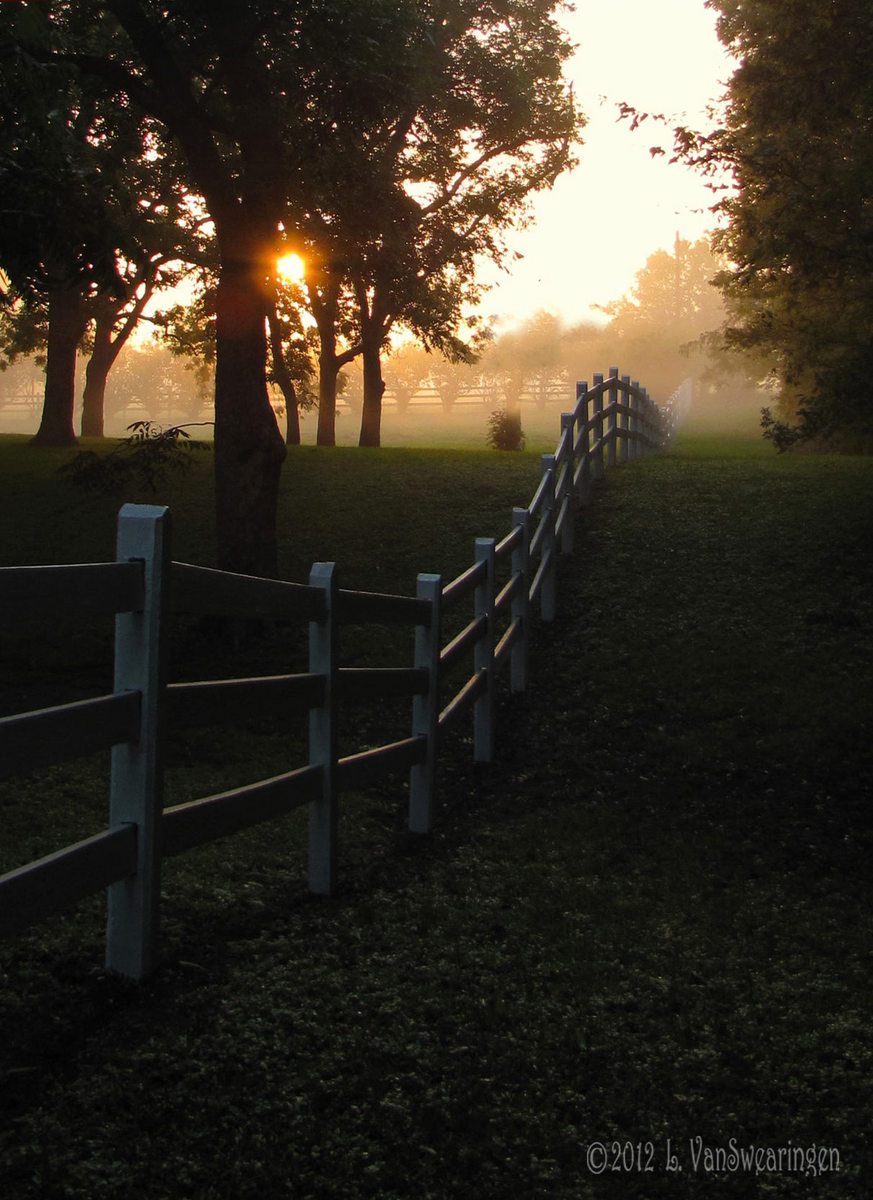 Misty Sunrise