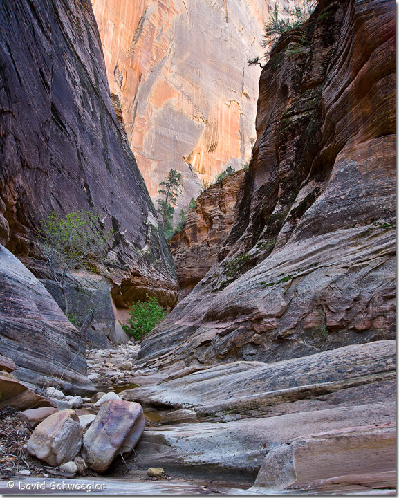 Zion Echo Canyon