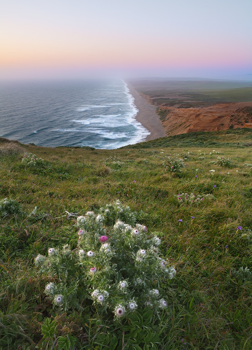 Reyes Light