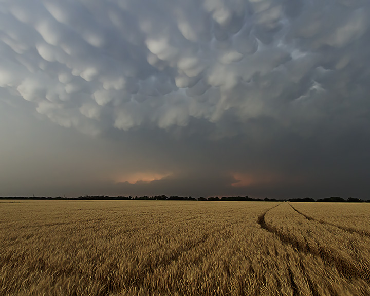 Storm over wheat