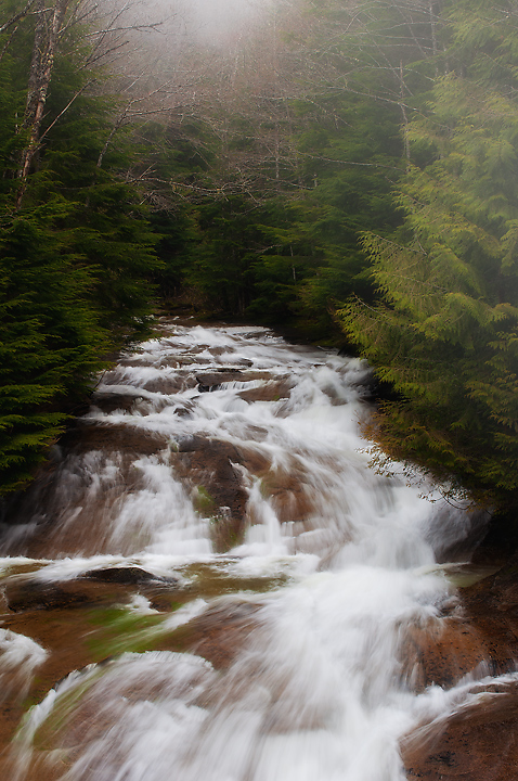 Stream and Fog