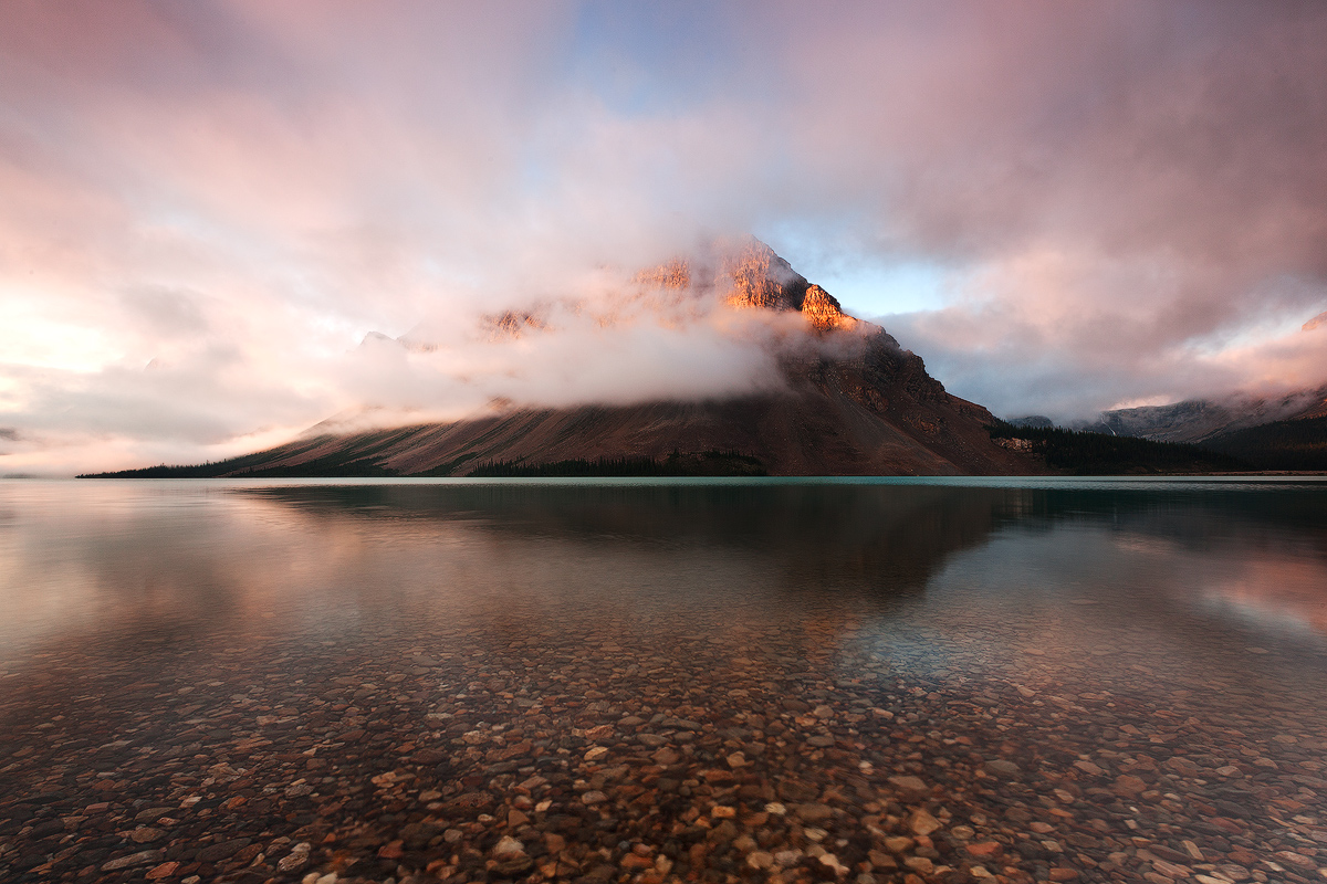 Cloudy Crowfoot