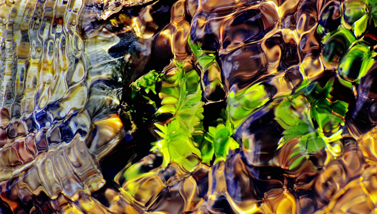 Headwaters--8741