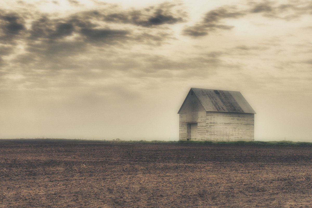 Foggy Morning