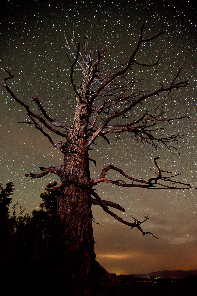 Spectre and Stars