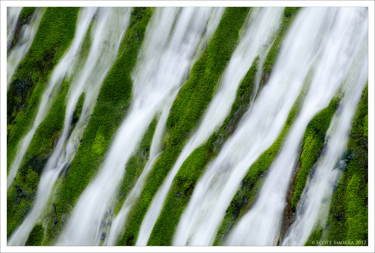 The Green Zebra