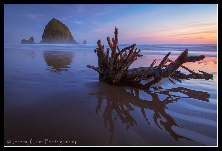 Rooted...
