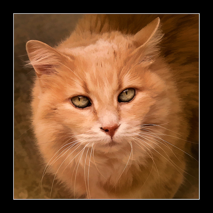 Cinnamon