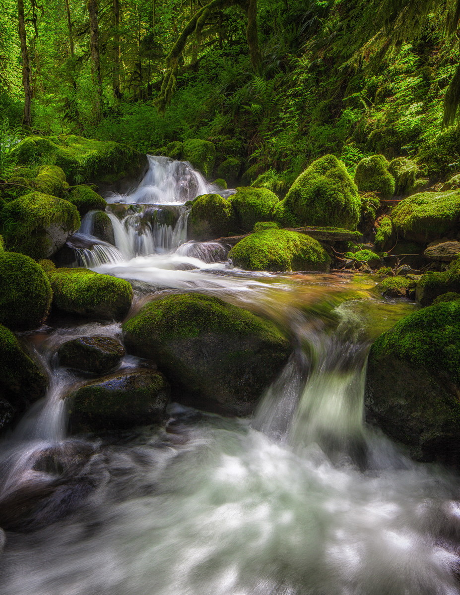 Dappled light