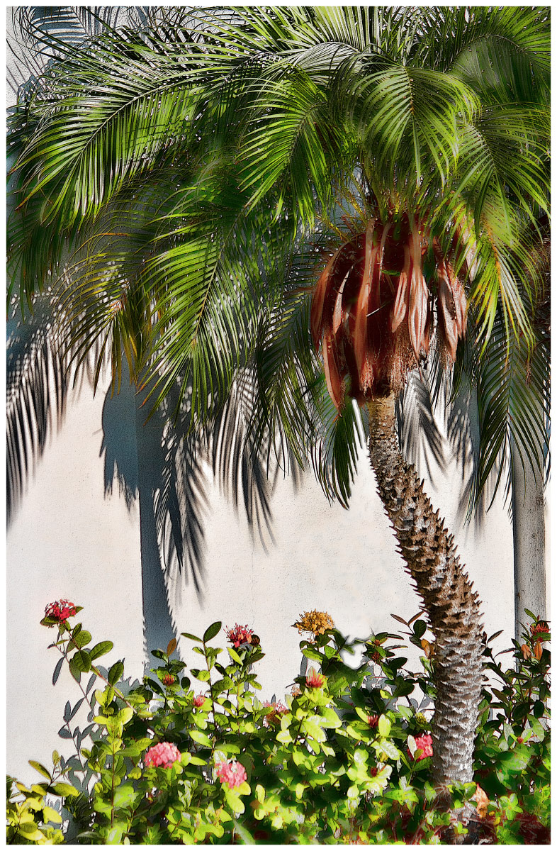 Florida