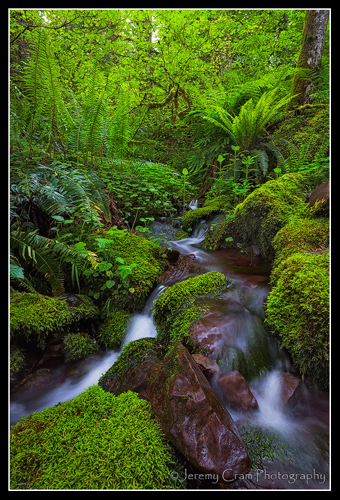 Tranquility Creek(+cropped)