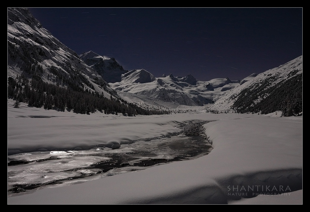 Moonlight shadows REPOST