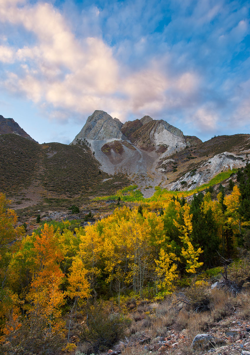 WC 538 Convict Canyon