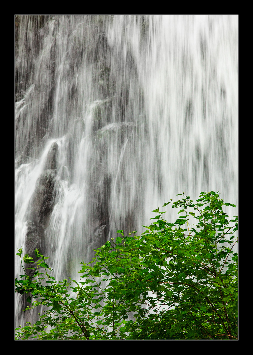 In The Gorge