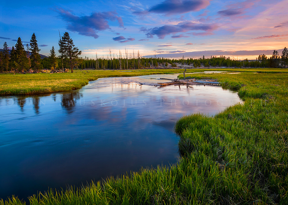 Tranquil Basin