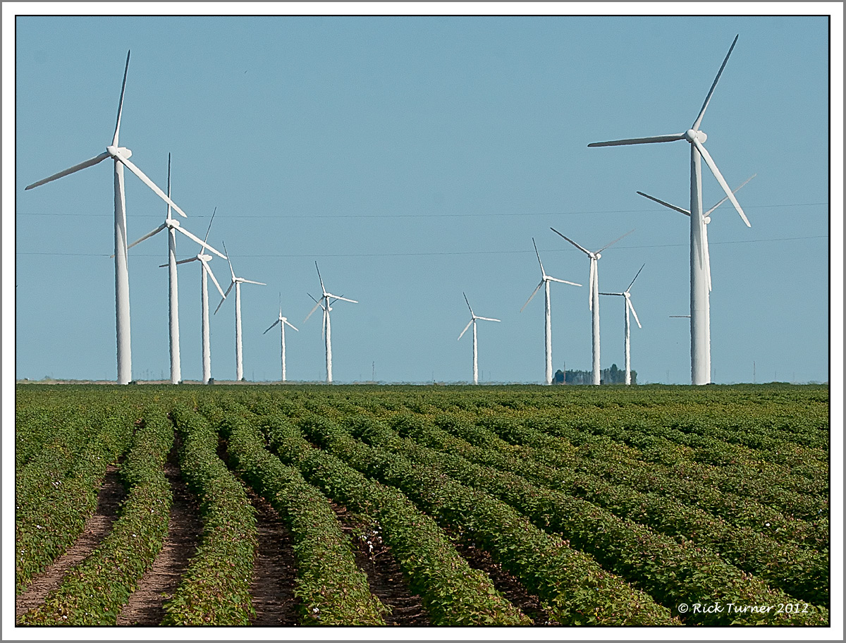 Farming the Wind
