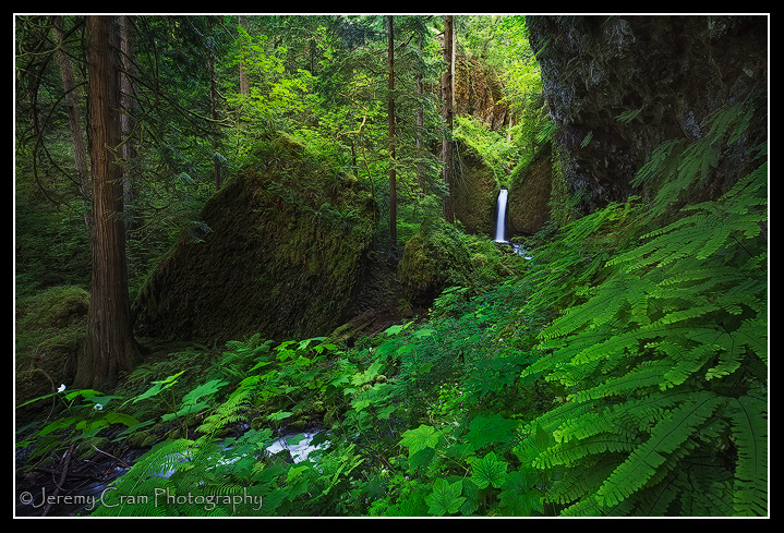 Fairies Grotto...(+repost)