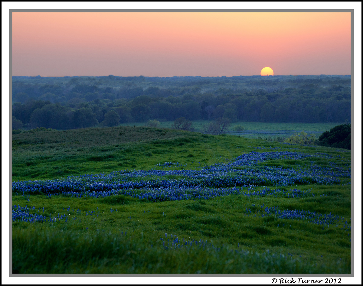 Bluebonnet Sunset