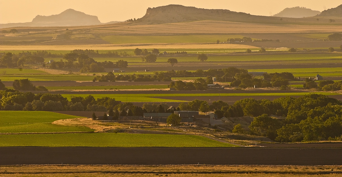 Farmland at Dawn